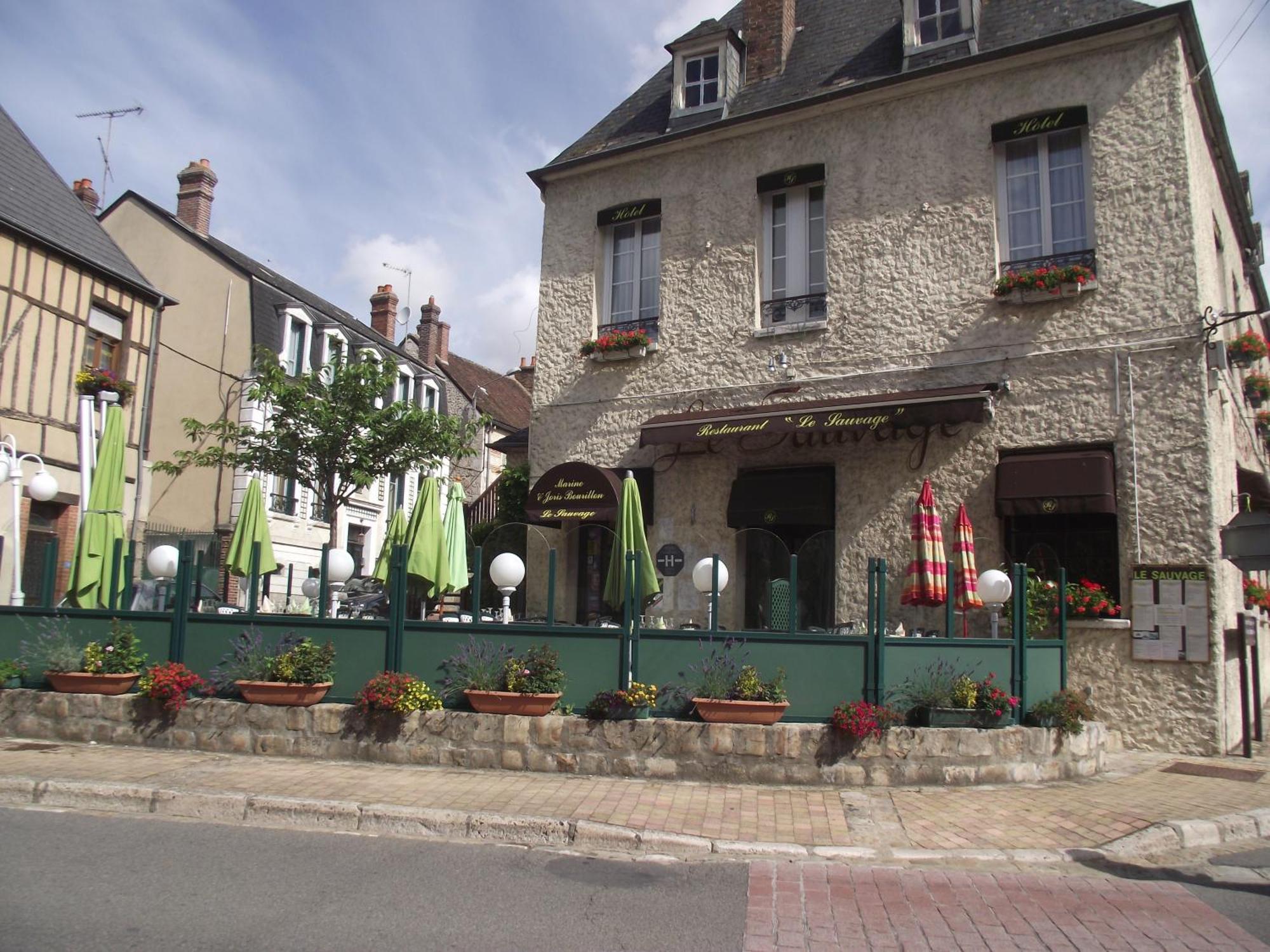 فندق Le Sauvage Château-Renard المظهر الخارجي الصورة